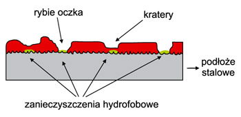 817jak5.jpg